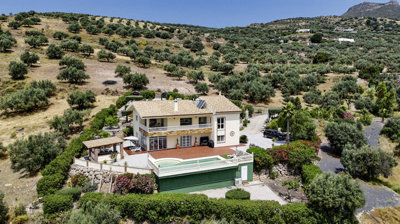 1366-villa-for-sale-in-alcaucin-47441-large