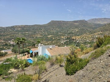 1367-villa-for-sale-in-alcaucin-47556-large