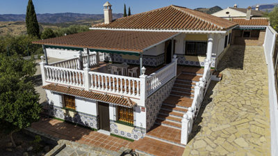 1368-villa-for-sale-in-periana-48796-large