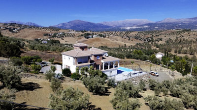 1385-villa-for-sale-in-los-romanes-49295-larg