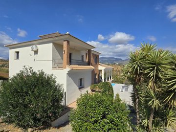 1385-villa-for-sale-in-los-romanes-49050-larg