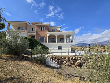 1385-villa-for-sale-in-los-romanes-49048-larg