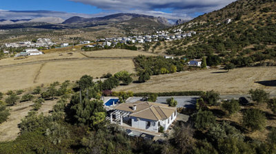 1396-villa-for-sale-in-alcaucin-49867-large