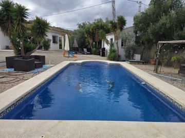 1396-villa-for-sale-in-alcaucin-49815-large