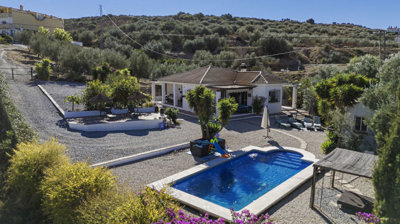 1396-villa-for-sale-in-alcaucin-49876-large