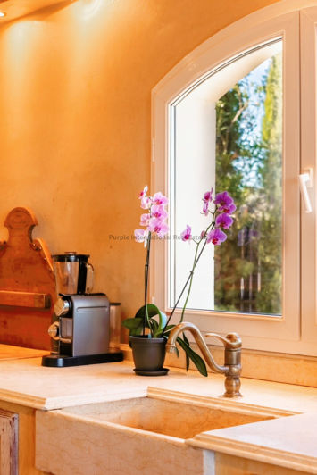 Image No.18-5 Bed Villa for sale