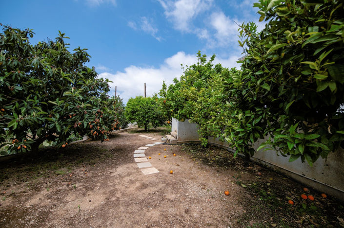 Image No.34-5 Bed Villa for sale