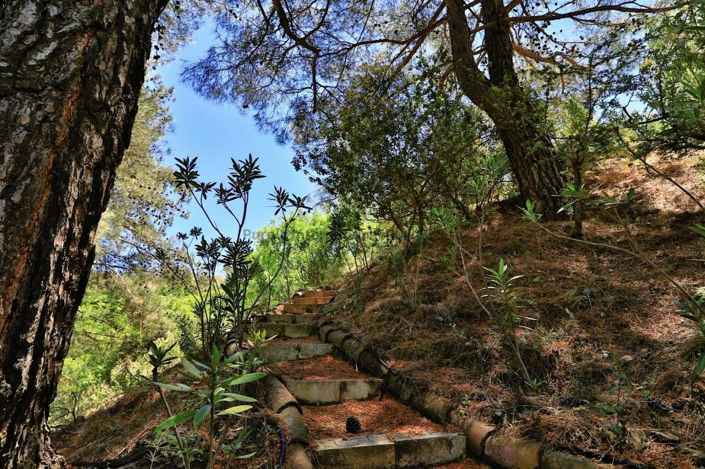 Image No.29-Villa de 3 chambres à vendre à Foini