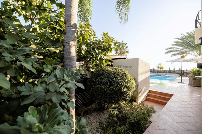 Image No.47-Villa de 3 chambres à vendre à Tala