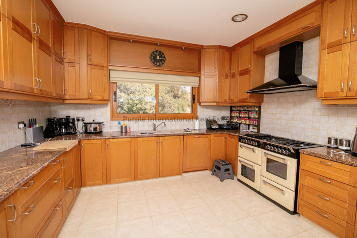 Image No.14-Villa de 5 chambres à vendre à Psematismenos