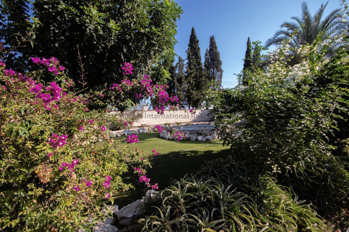 Image No.43-Villa de 5 chambres à vendre à Pervolia