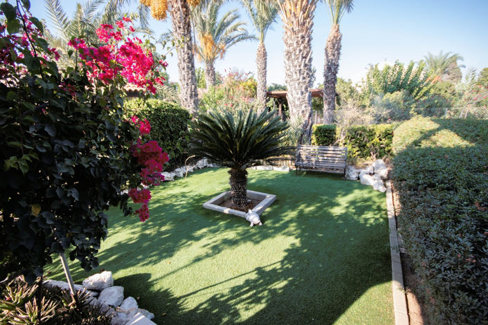 Image No.47-Villa de 5 chambres à vendre à Pervolia