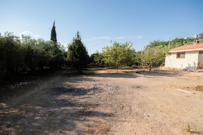 Image No.50-Villa de 5 chambres à vendre à Pervolia