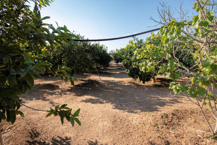 Image No.51-Villa de 5 chambres à vendre à Pervolia