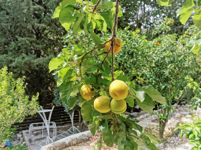 Image No.28-Villa de 3 chambres à vendre à Kamares Village