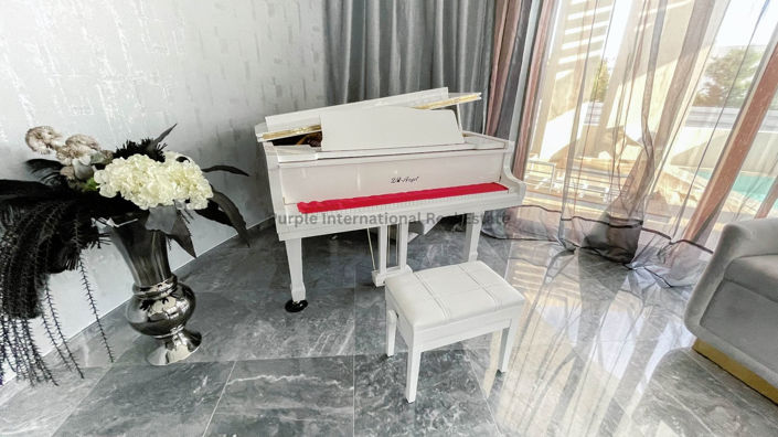 Image No.7-Villa de 5 chambres à vendre à Limassol