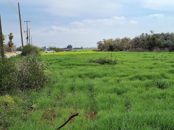 Image No.3-Terre à vendre à Avgorou