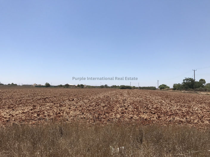 Image No.2-Terrain à vendre à Avgorou