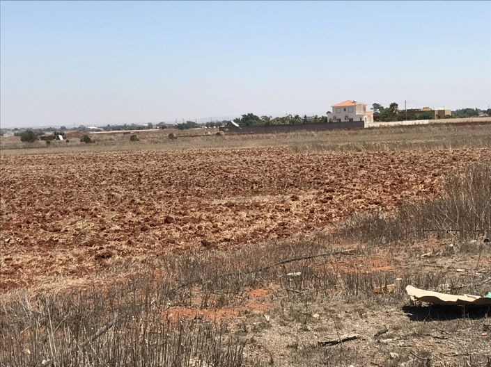 Image No.3-Terrain à vendre à Avgorou