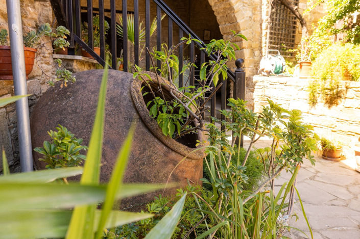 Image No.28-Maison de 3 chambres à vendre à Tochni
