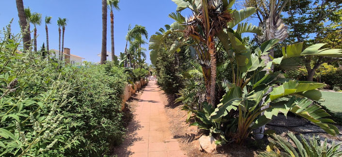 Image No.47-Villa de 3 chambres à vendre à Ayia Thekla