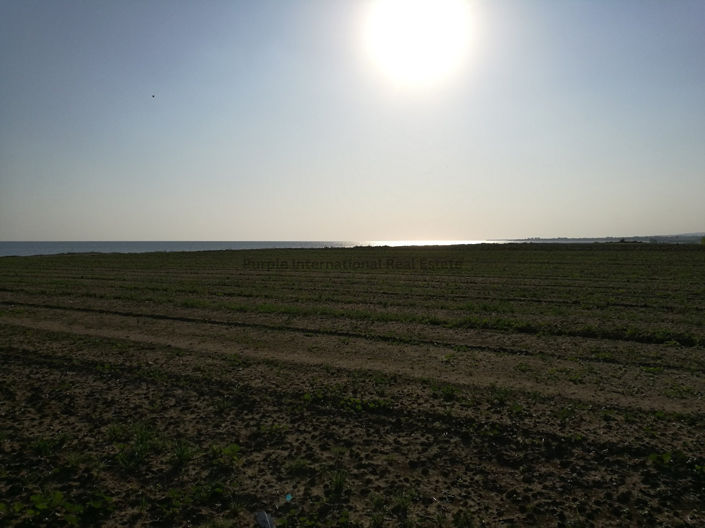 Image No.10-Terre à vendre à Kiti