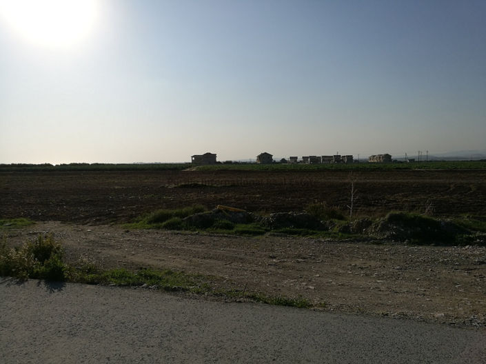 Image No.11-Terre à vendre à Kiti