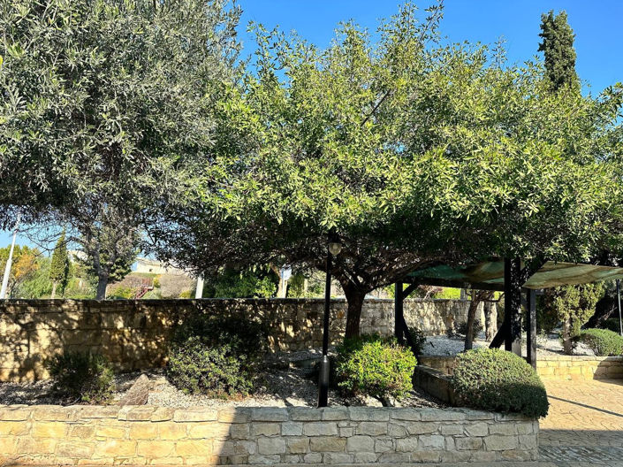 Image No.16-Appartement de 1 chambre à vendre à Aphrodite Hills