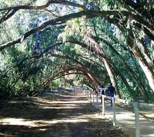 Image No.12-Penthouse de 2 chambres à vendre à Torrevieja