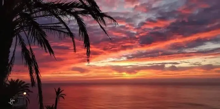 Image No.14-Penthouse de 2 chambres à vendre à Torrevieja