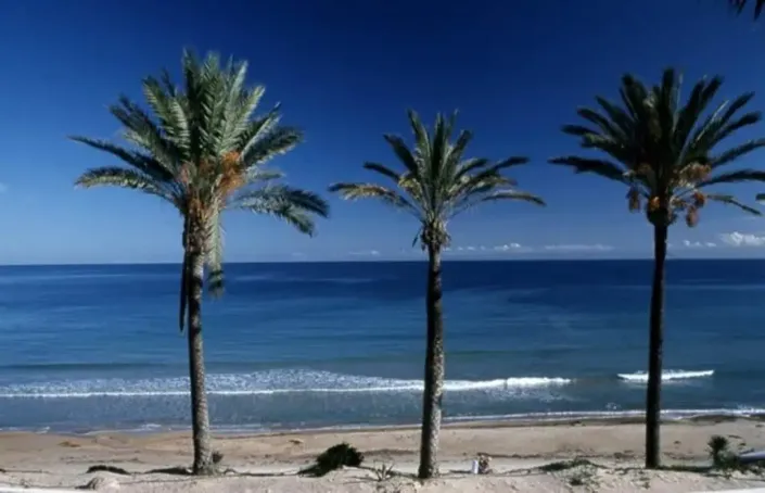 Image No.10-3 Bed Apartment for sale