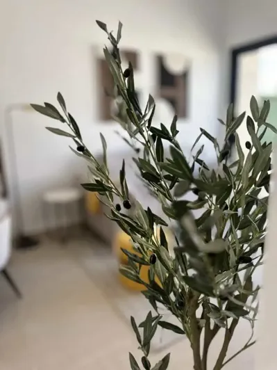 Image No.17-Penthouse de 3 chambres à vendre à San Fulgencio