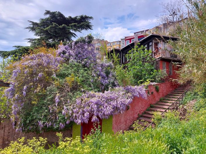 Image No.12-Maison / Villa de 12 chambres à vendre à Fatih