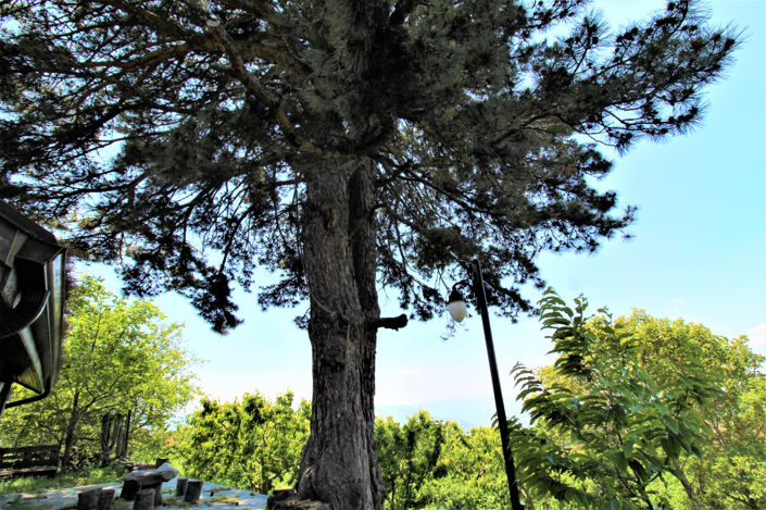 Image No.10-2 Bed House/Villa for sale