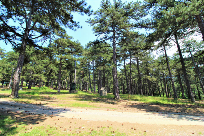 Image No.22-2 Bed House/Villa for sale