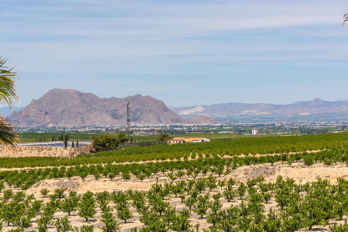 Image No.16-Maison / Villa de 3 chambres à vendre à Algorfa