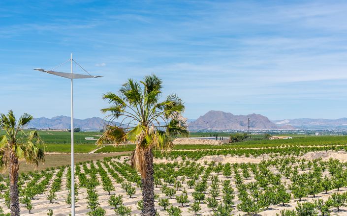 Image No.17-Maison / Villa de 3 chambres à vendre à Algorfa