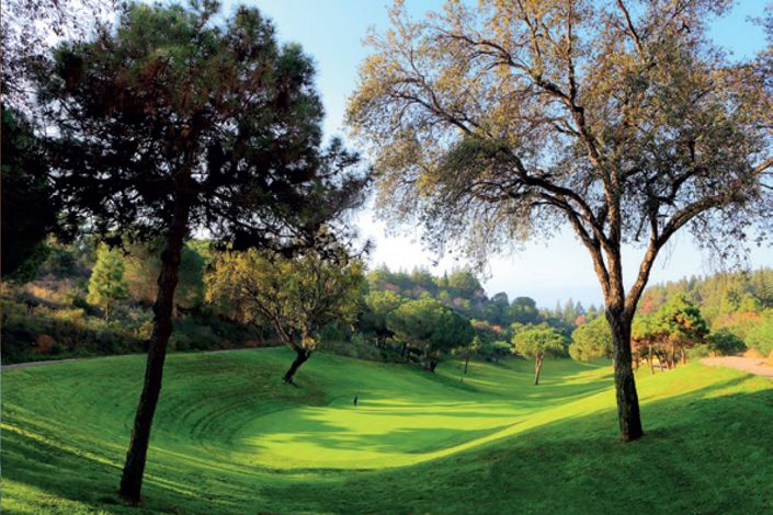 Image No.3-Terre à vendre à Mijas