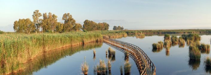 Image No.27-Maison / Villa de 3 chambres à vendre à Monforte del Cid