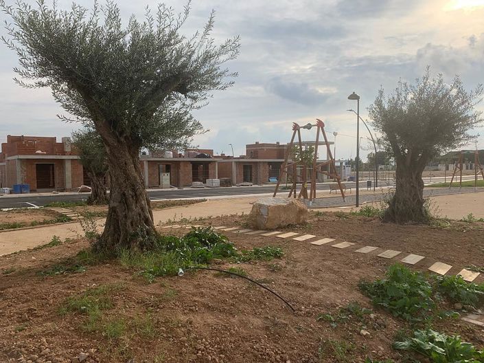 Image No.5-Maison / Villa de 3 chambres à vendre à Torre Pacheco Town