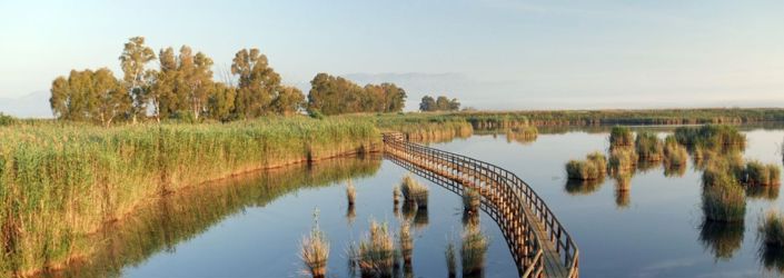 Image No.19-Maison / Villa de 4 chambres à vendre à San Fulgencio