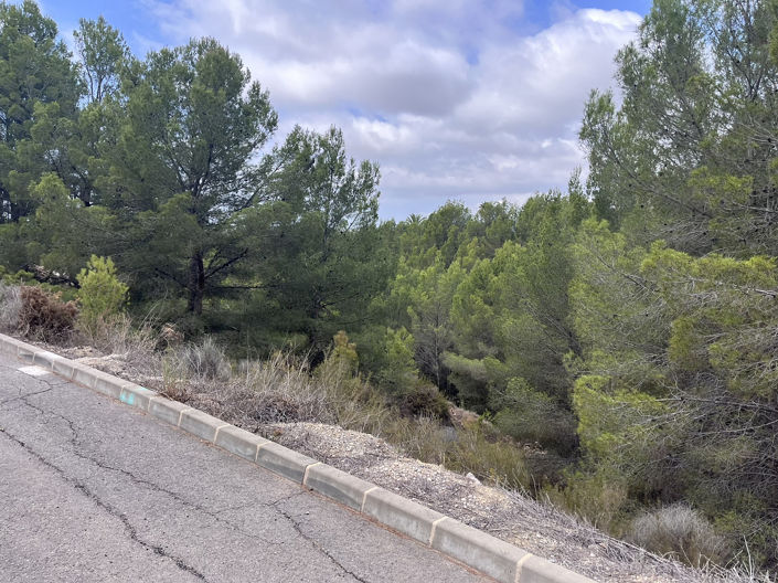 Image No.3-Terre à vendre à Altea