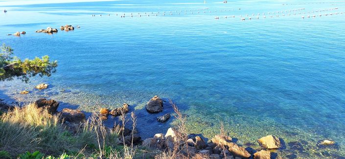 Image No.10-3 Bed Apartment for sale