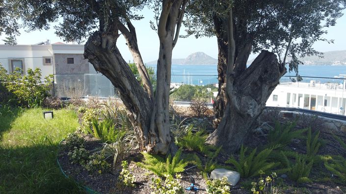 Image No.6-Maison / Villa de 4 chambres à vendre à Yalikavak