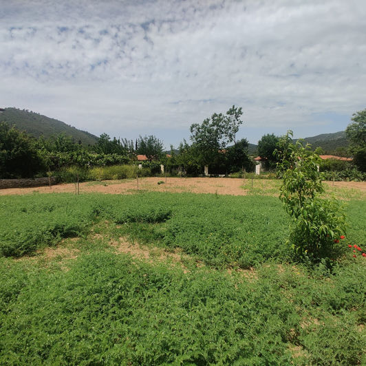 Image No.11-Maison / Villa de 6 chambres à vendre à Kayaköy