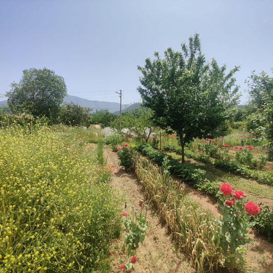 Image No.5-Maison / Villa de 6 chambres à vendre à Kayaköy