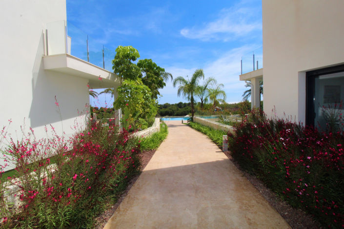 Image No.13-Appartement de 3 chambres à vendre à Pilar de la Horadada