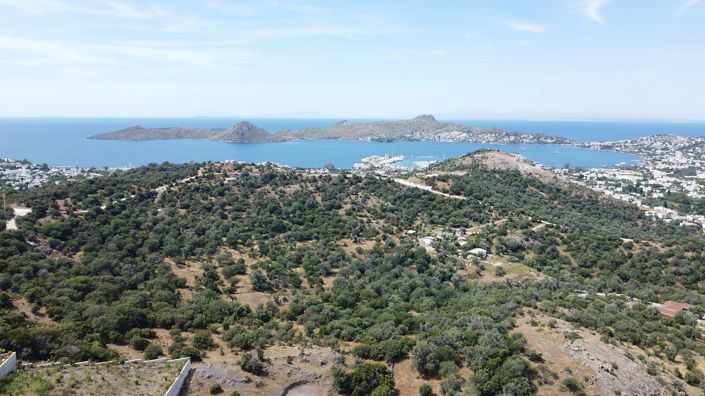 Image No.10-8 Bed House/Villa for sale