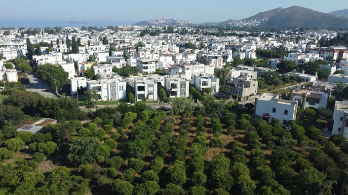 Image No.3-Terre à vendre à Turgutreis