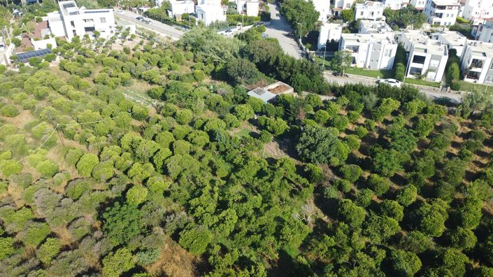 Image No.5-Terre à vendre à Turgutreis